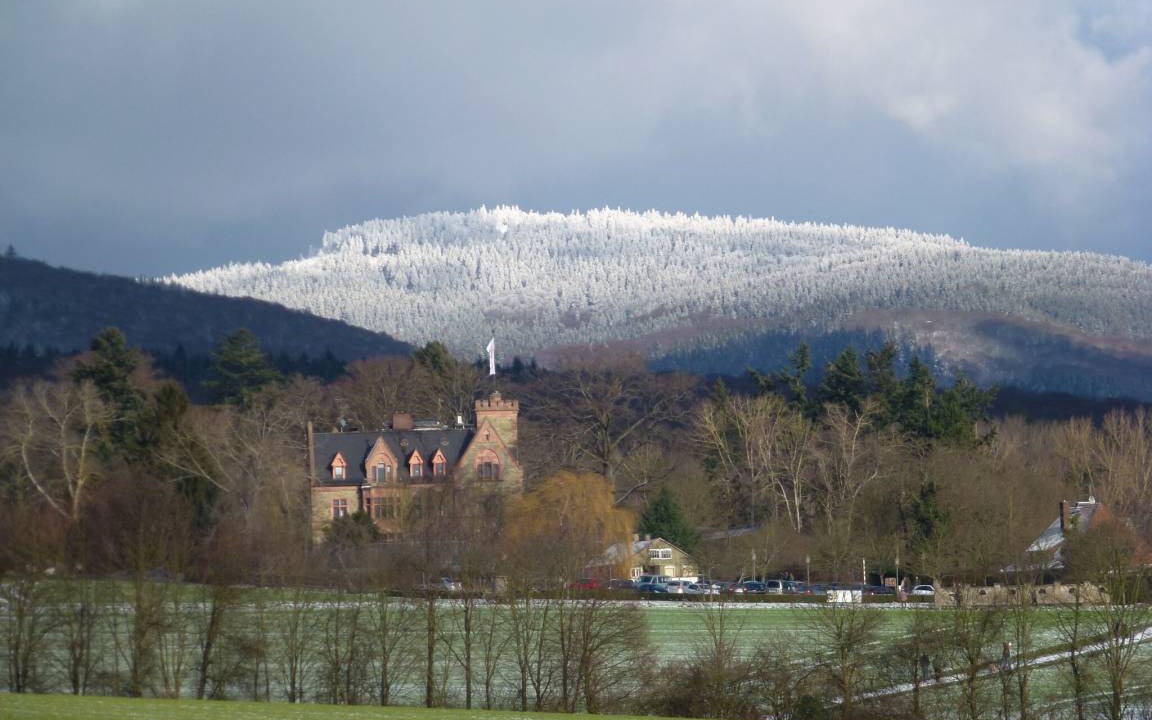 Photo of Others in Koenigstein im Taunus