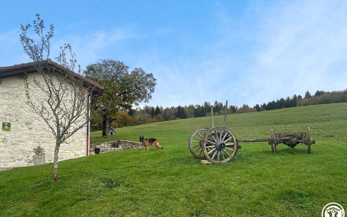 Photo of Others in Saint-Martin-du-Frene