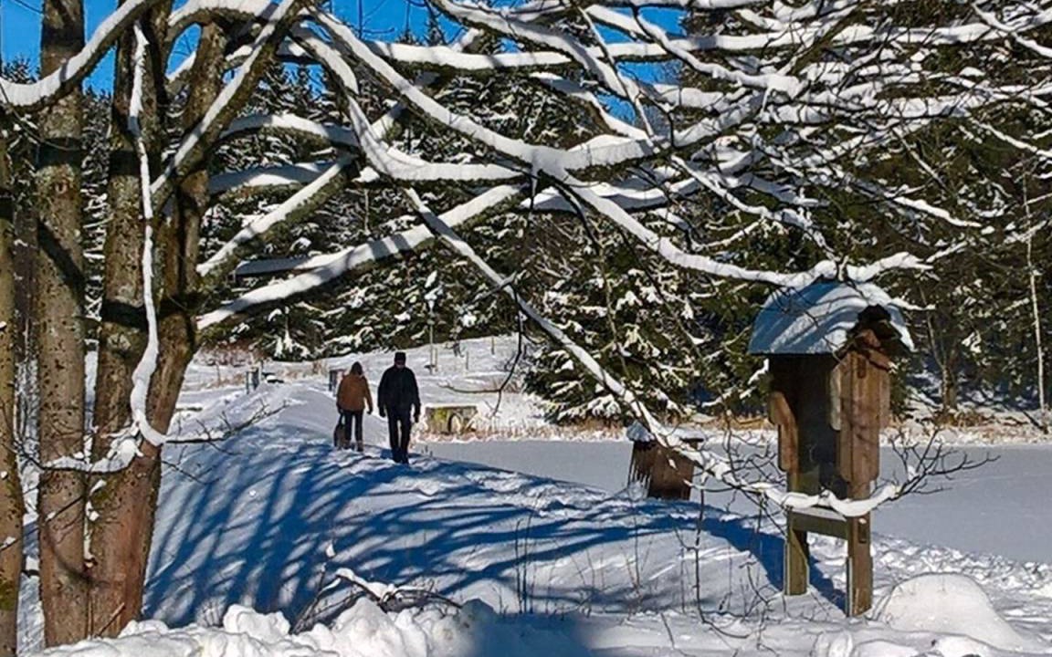 Photo of Others in Hahnenklee