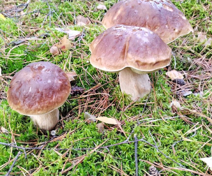 Photo of Outdoor in Ziesar