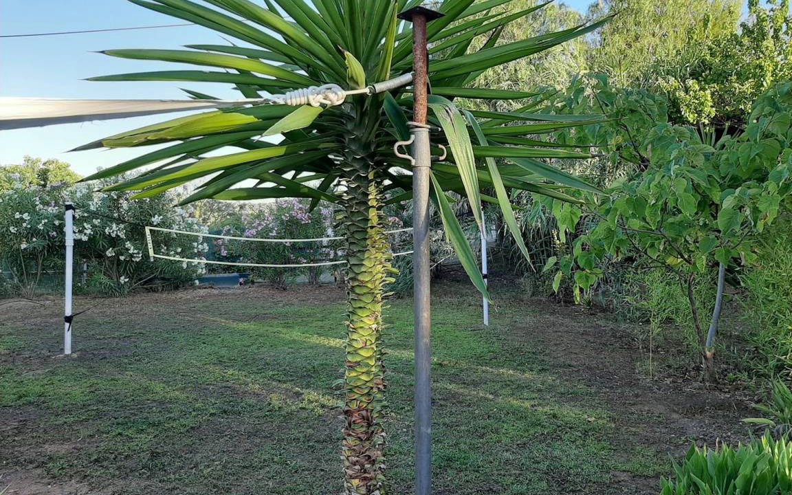 Photo of Others in Pedralba