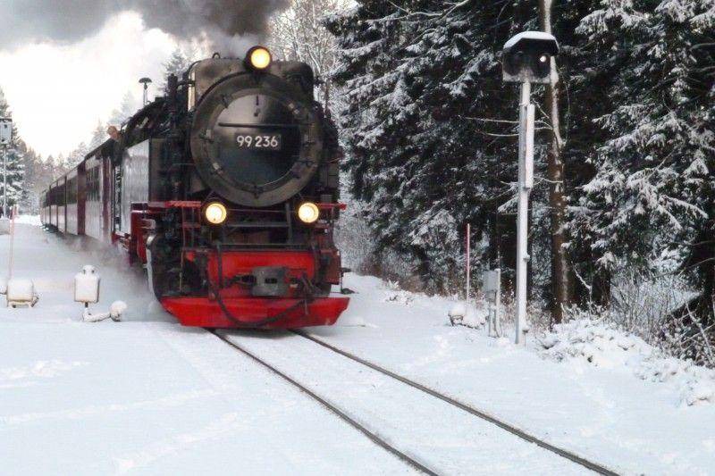 Photo of Others in Schierke