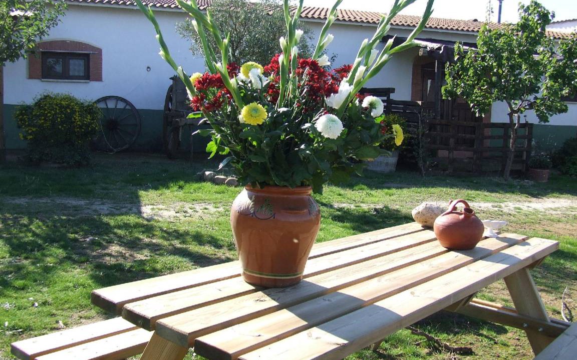 Photo of Others in Alcuescar