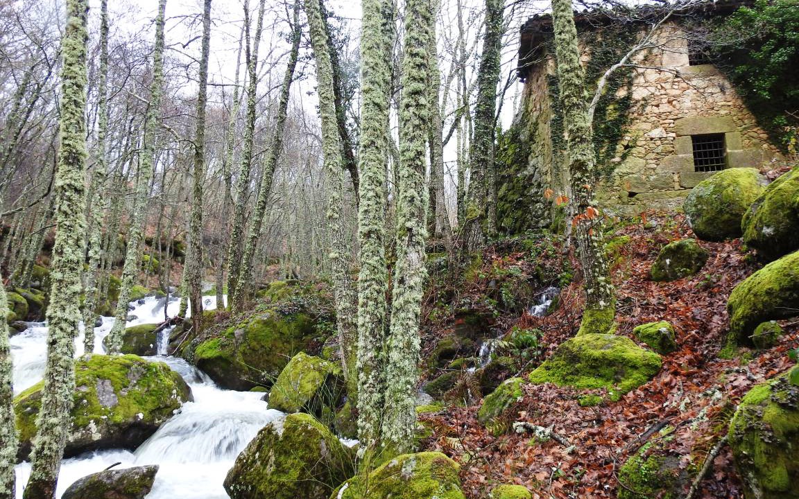 Photo of Others in Candelario