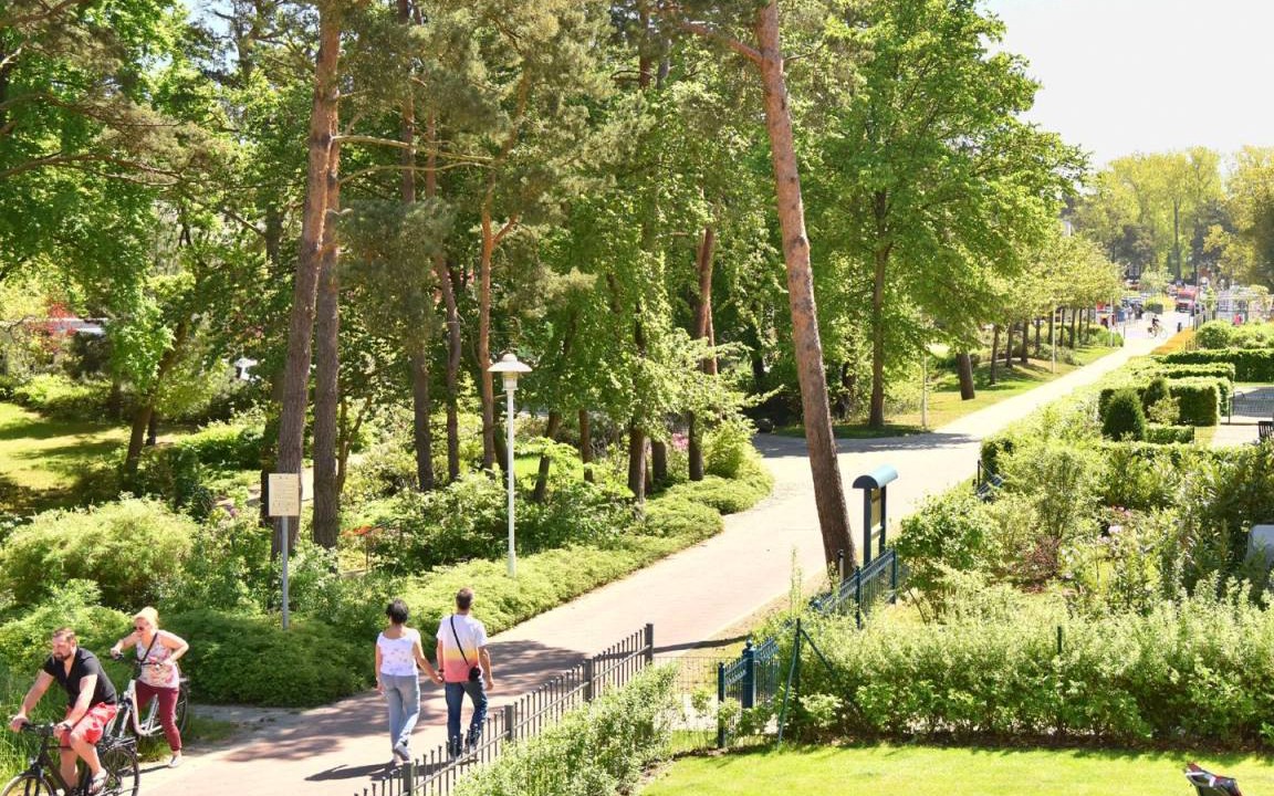 Photo of Others in Ostseebad Baabe