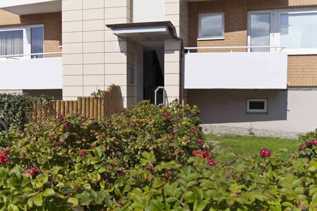 Photo of Others in Westerland