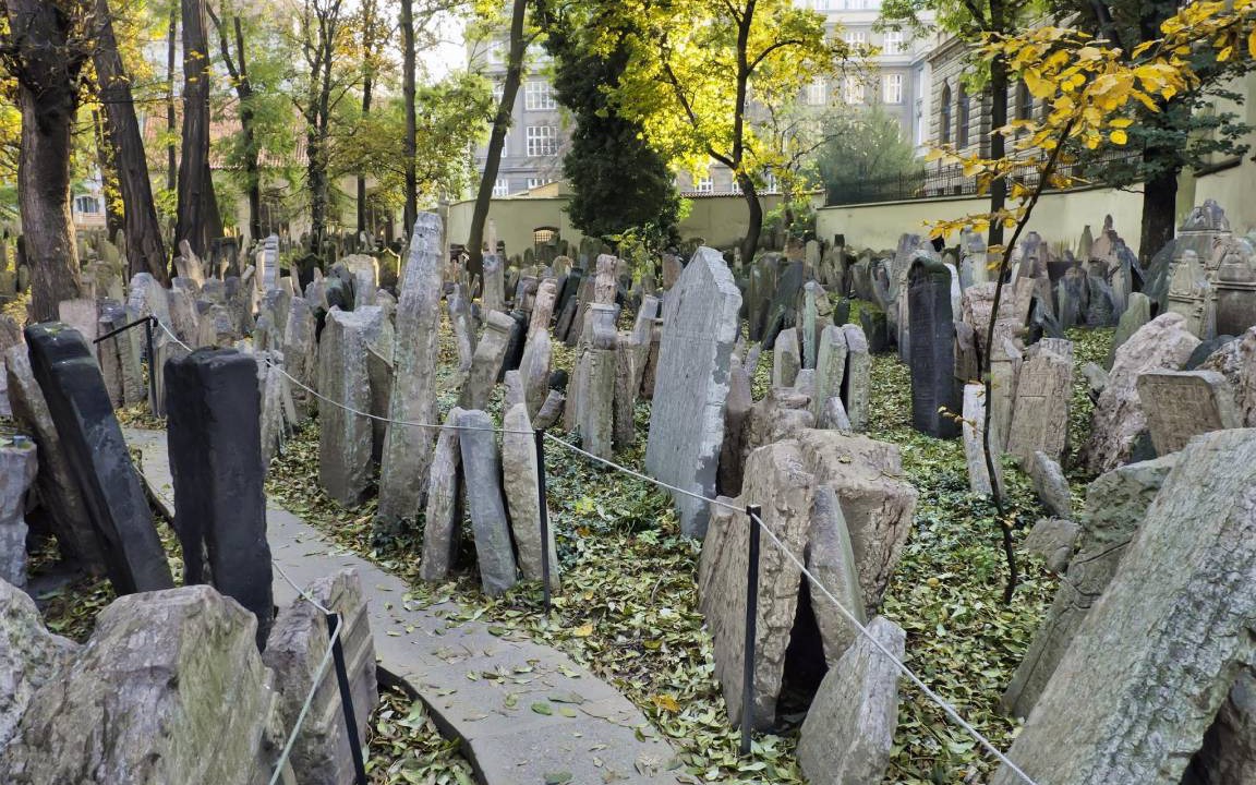 Photo of Others in Nusle