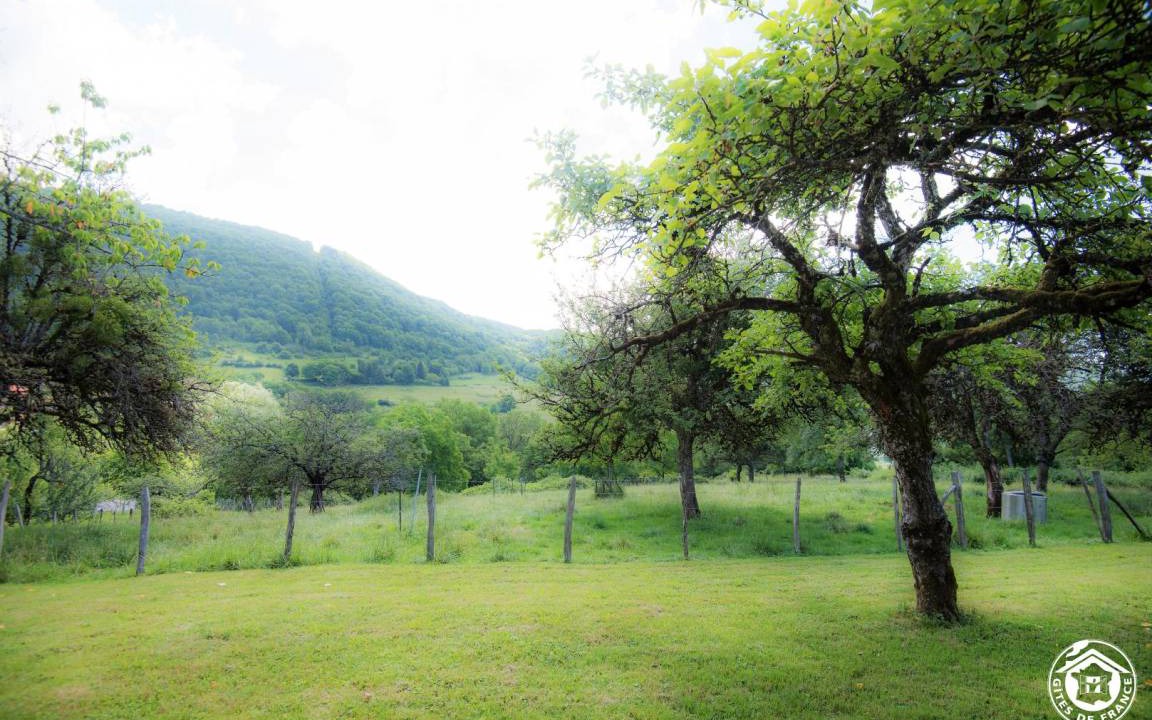Photo of Others in Boyeux-Saint-Jerome