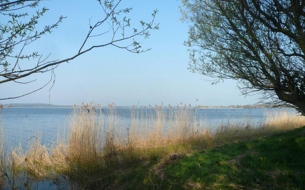 Photo of Others in Dassow