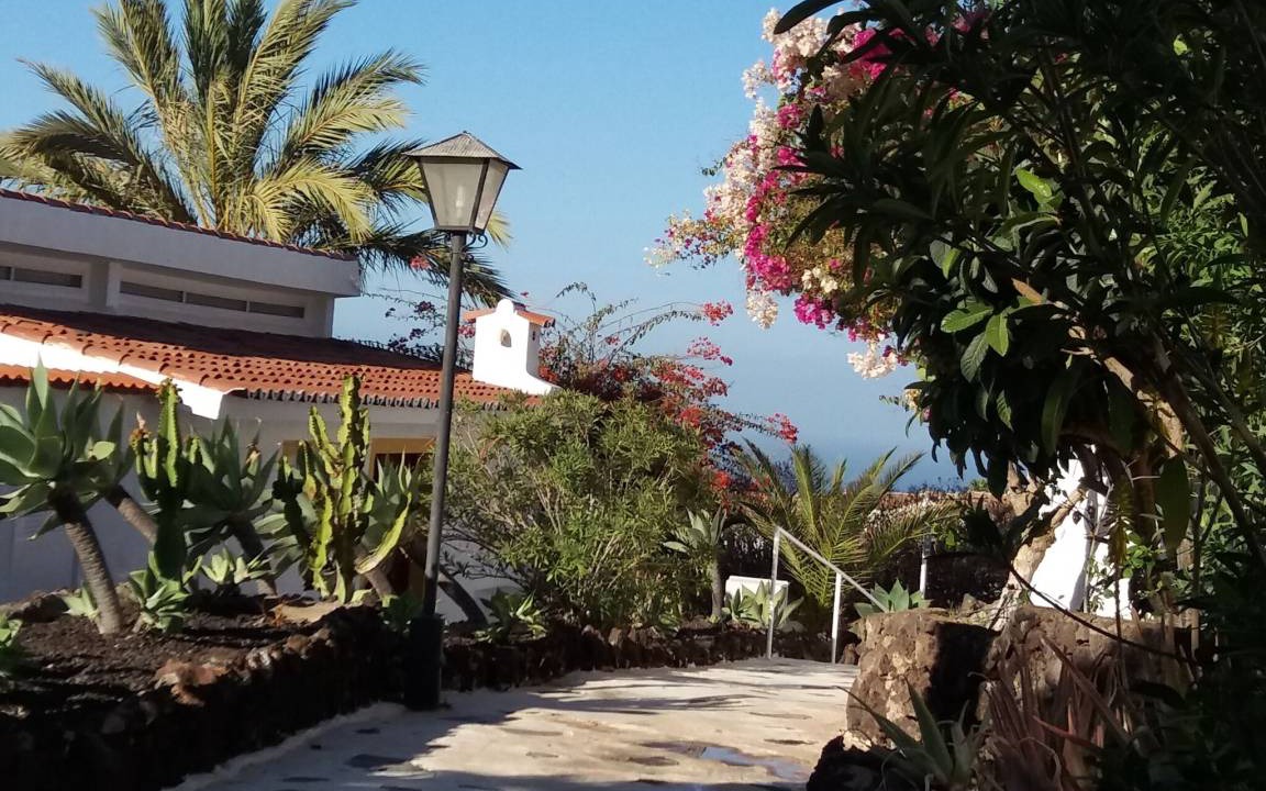 Photo of Others in Chayofa
