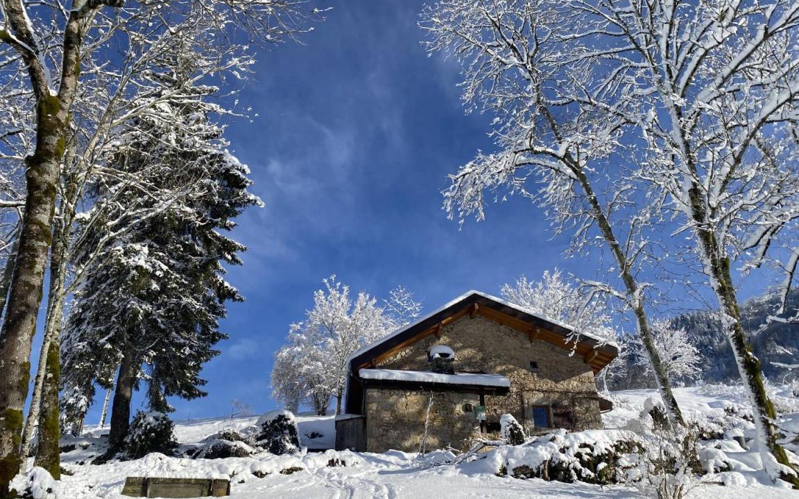 Photo of Others in Saint-Germain-de-Joux