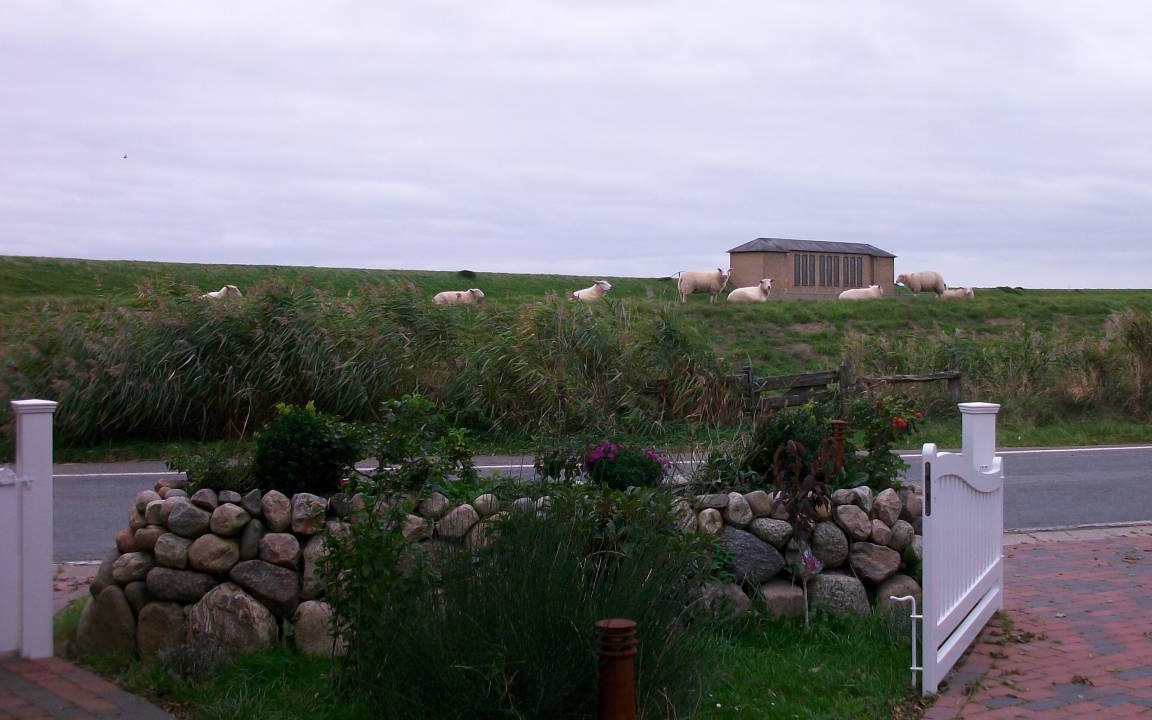Photo of Others in Ockholm