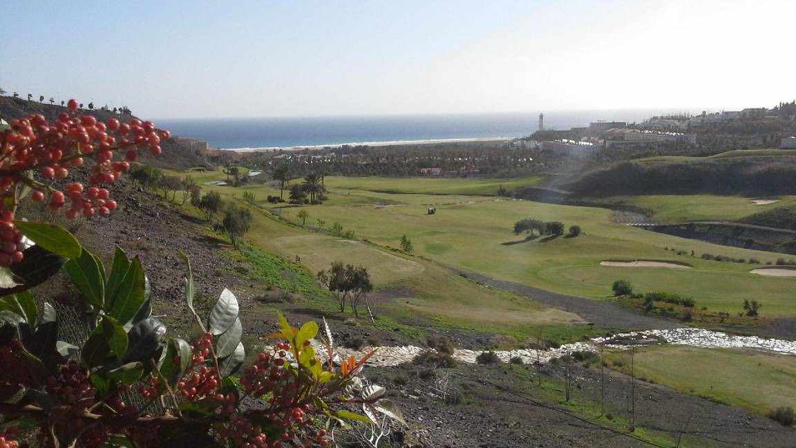 Photo of Others in Solana del Matorral