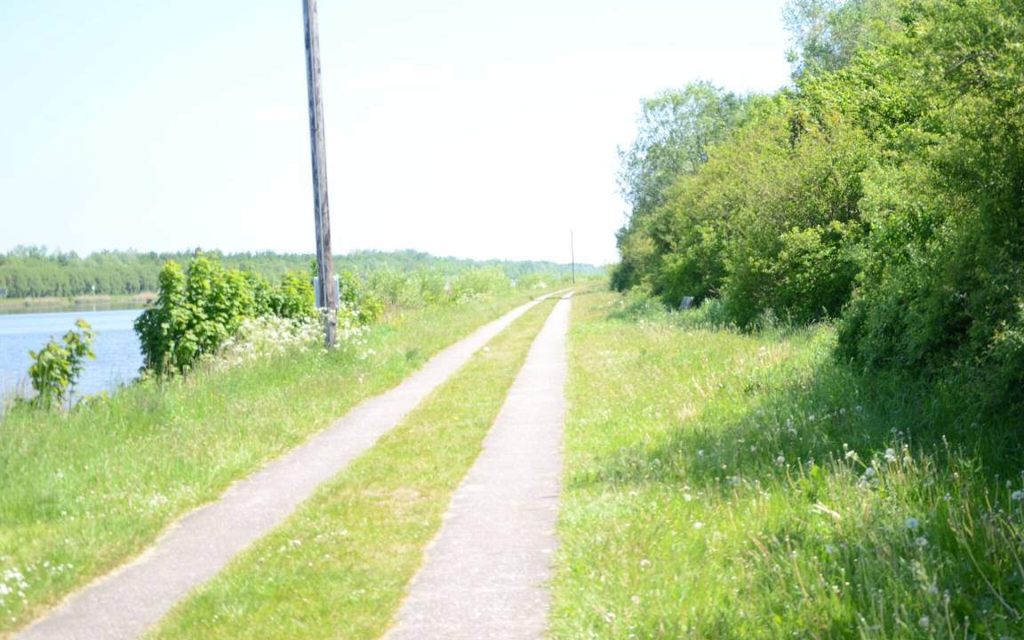 Photo of Others in Oldenbuttel