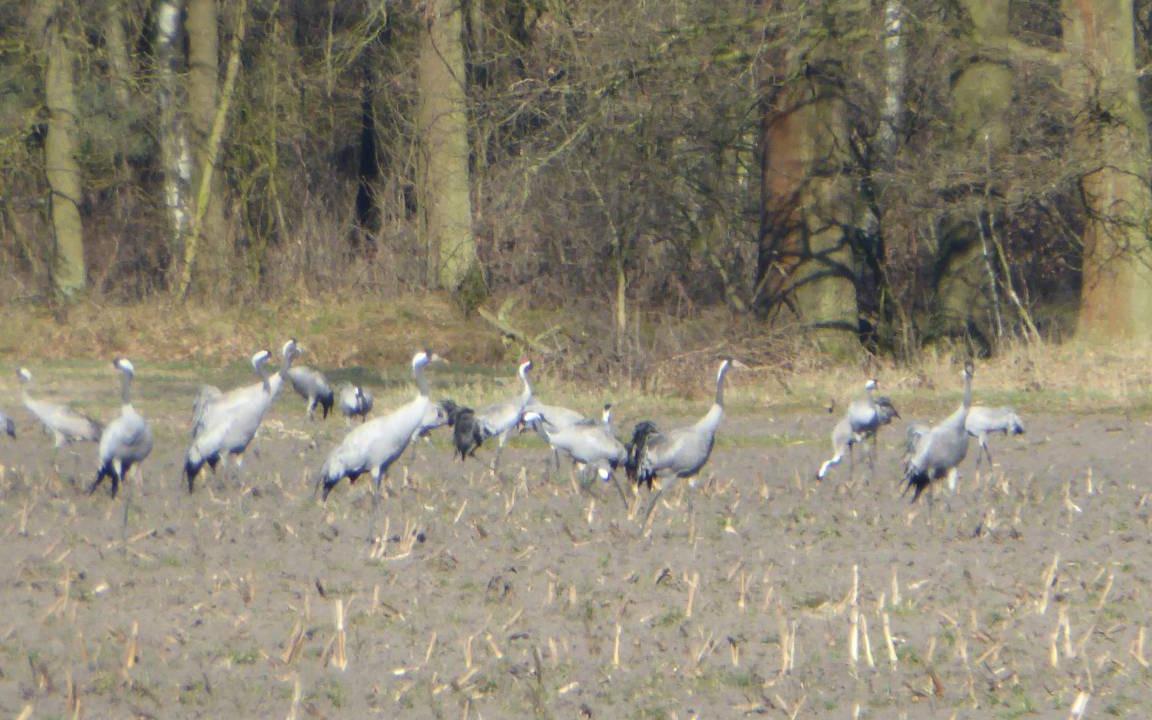 Photo of Others in Marienstein