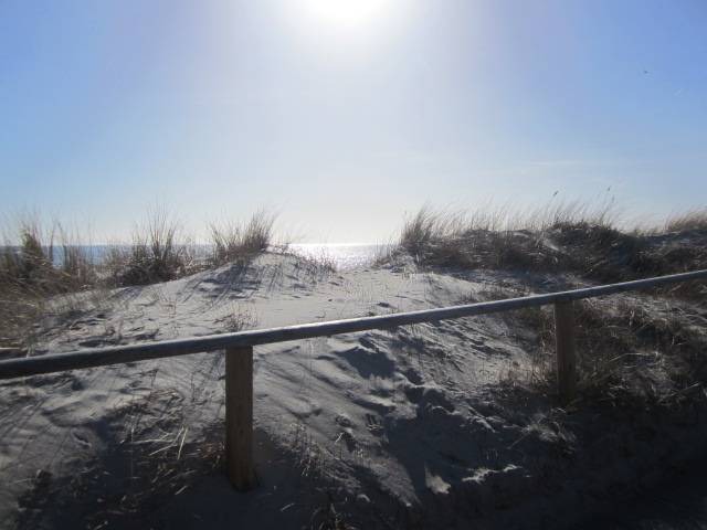 Photo of Others in Fehmarn