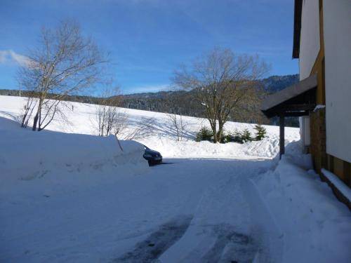 Photo of Others in Lajoux