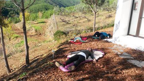 Photo of Others in Pinofranqueado