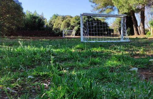 Photo of Others in Istres