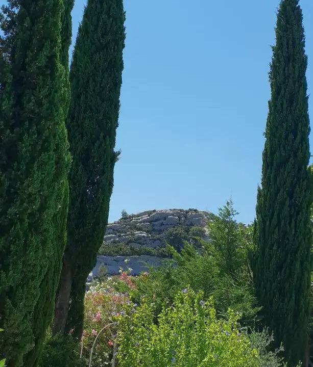 Photo of Others in Mouries