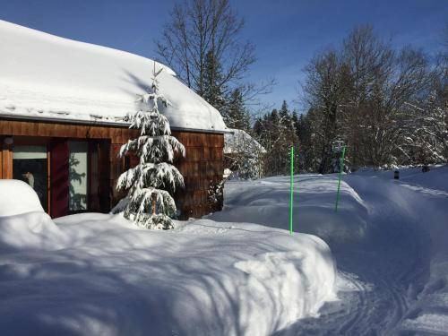 Photo of Others in Lac-des-Rouges-Truites