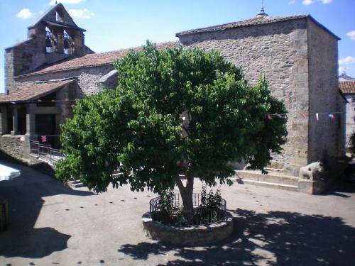 Photo of Others in San Vitero