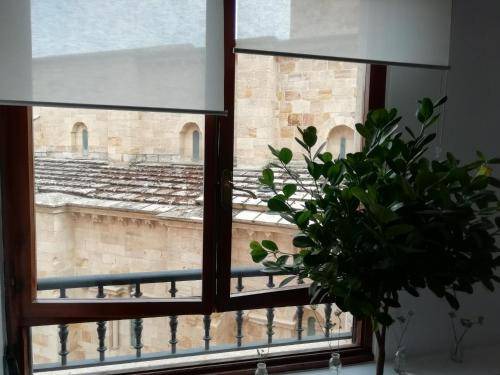 Photo of Others in Zamora