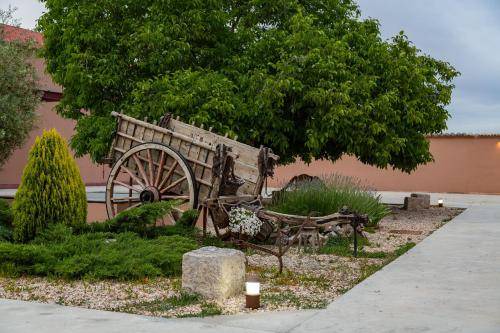 Photo of Others in Quintanilla de Arriba