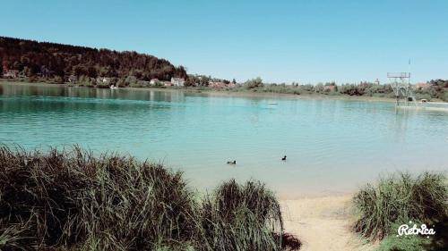 Photo of Others in Clairvaux-les-Lacs