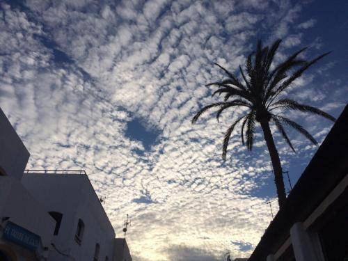 Photo of Others in Las Negras
