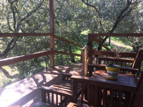 Photo of Patio Balcony in Pedroso de Acim