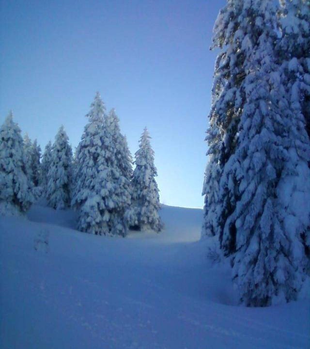Photo of Others in Mijoux