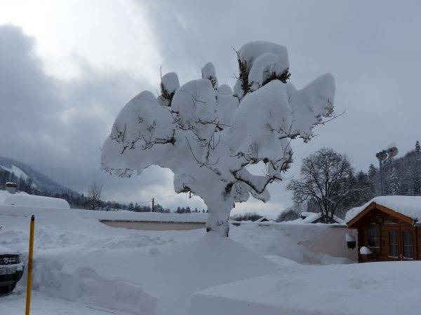 Photo of Others in Les Hopitaux-Neufs