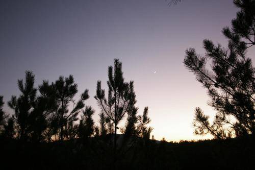 Photo of Others in Pinofranqueado