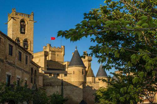 Photo of Others in Olite
