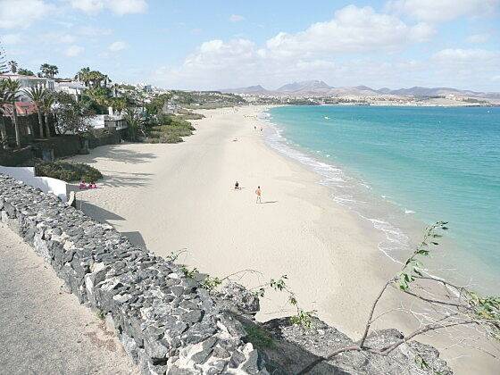 Photo of Others in Bahia Calma
