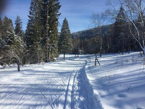 Photo of Others in Lac-des-Rouges-Truites