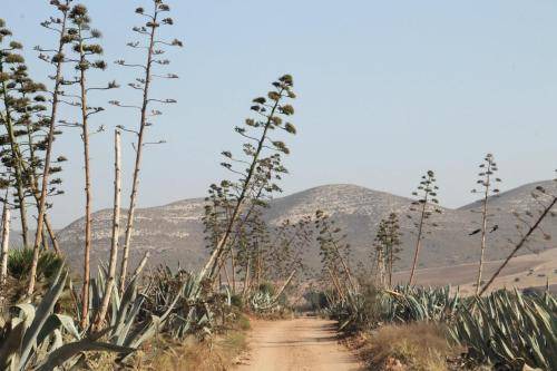 Photo of Others in Cabo de Gata