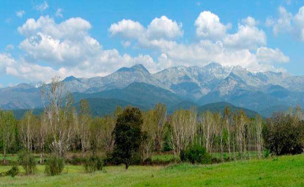 Photo of Others in Poyales del Hoyo