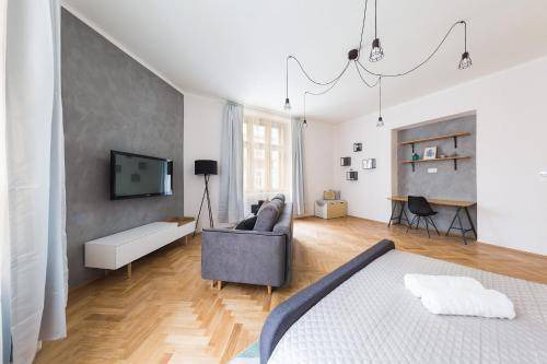 Photo of Livingroom in Zizkov