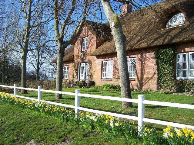 Photo of Others in Westerhever