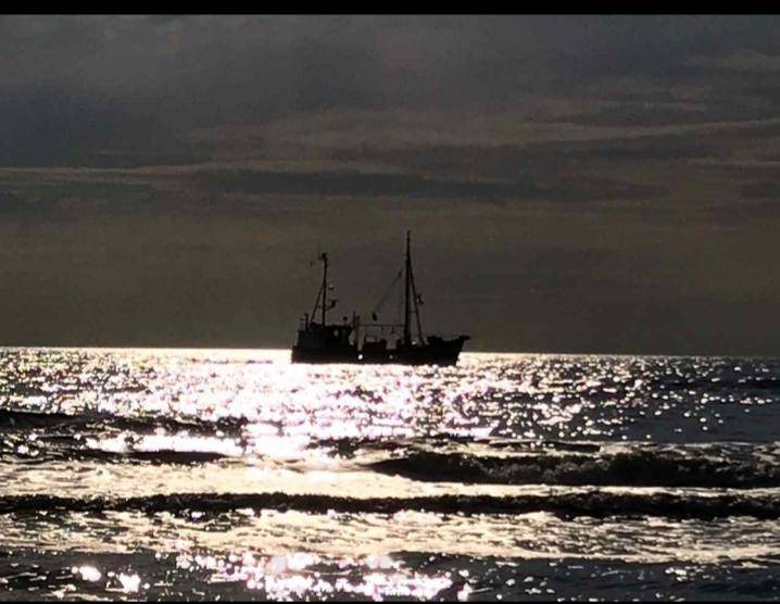 Photo of Others in Vollerwiek
