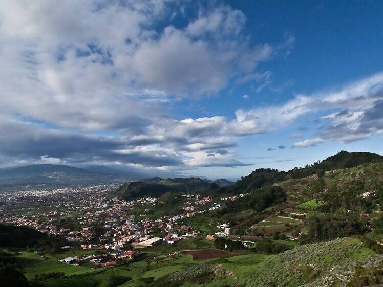 Photo of Others in Puerto de la Cruz