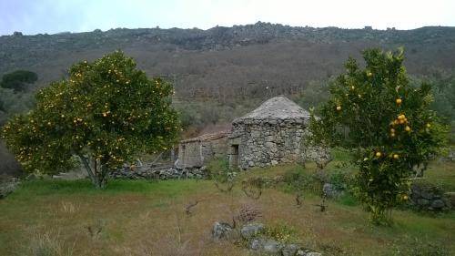 Photo of Others in San Martin de Trevejo