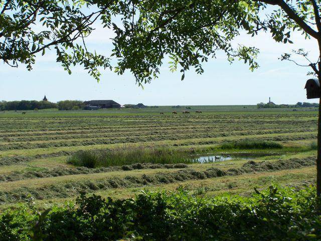 Photo of Others in Westerhever
