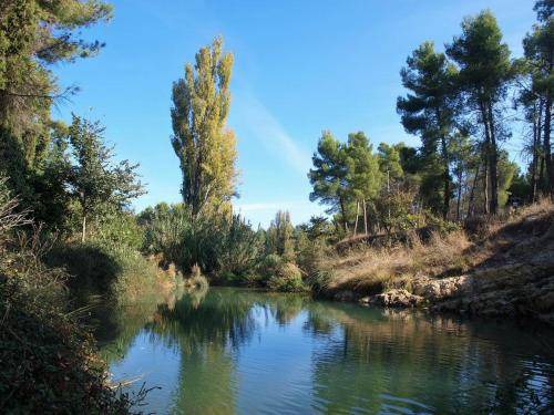 Photo of Others in Almansa