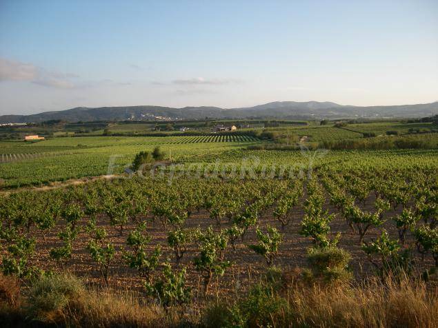 Photo of Others in San Martin Sarroca