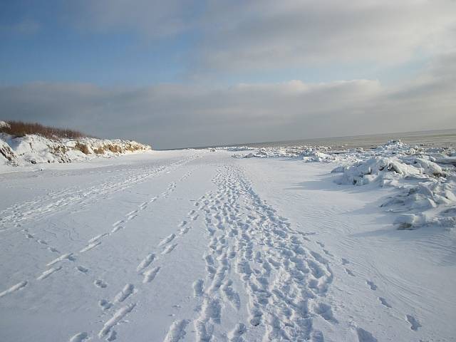 Photo of Others in Borgsum
