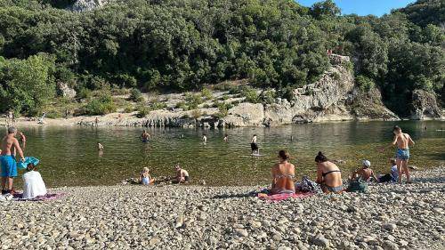 Photo of Others in Collias