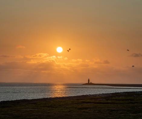 Photo of Others in Hallig Langeneß